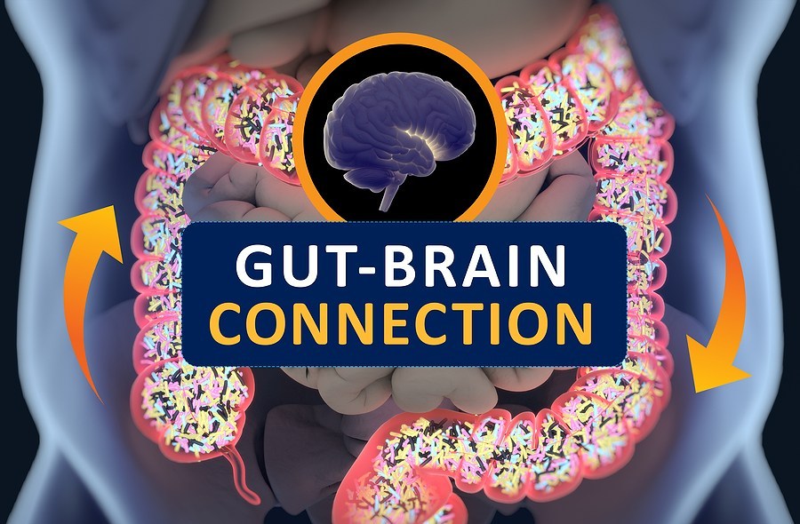 The Gut-Nervous System Connection